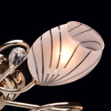 Люстра потолочная MW-Light FIESTA 267012005